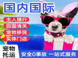 天府航空物流国际宠物托运 【国